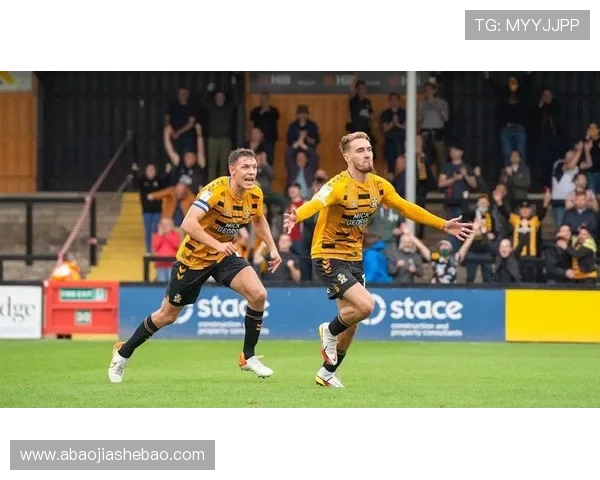 查尔顿俱乐部的辉煌与挑战从百年历史看英伦足球的沉浮变迁