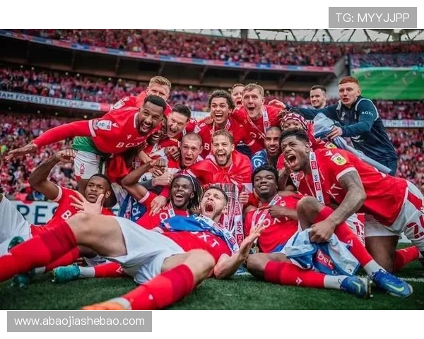 诺丁汉森林俱乐部的辉煌历史与现代足球发展的深度解析 诺丁汉森林俱乐部的辉煌历史与现代足球发展的深度解析